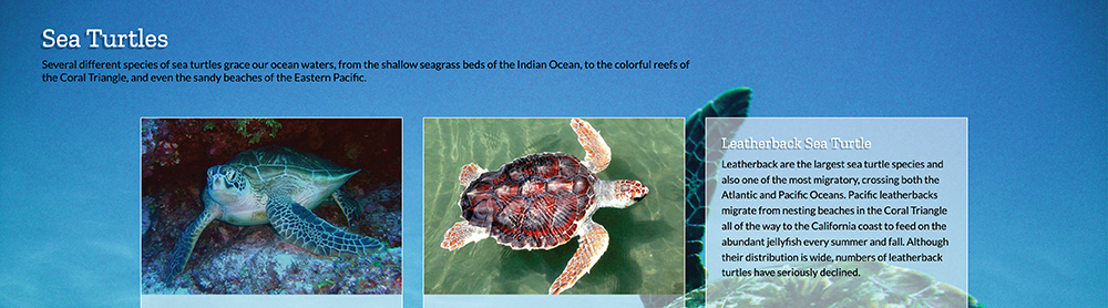 Page Layout with Grids