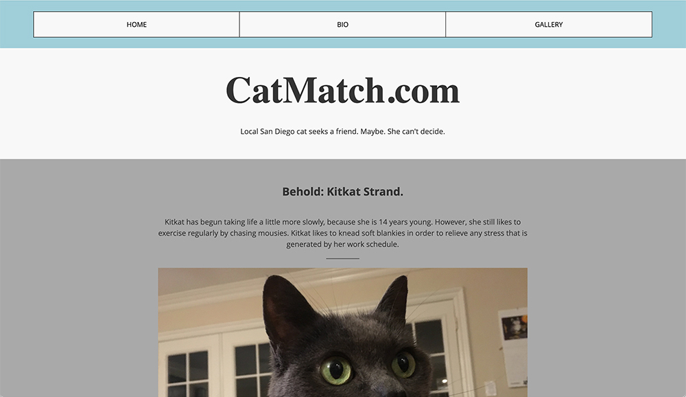 A starter responsive website.