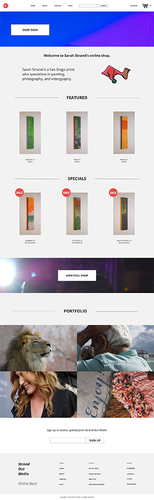 Mockup of OpenCart Artist Shop